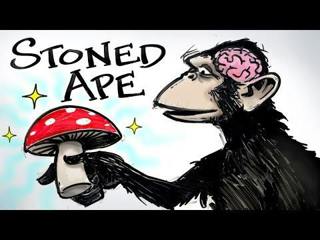 Stoned Ape & Fungal Intelligence - Paul Stamets | After Skool