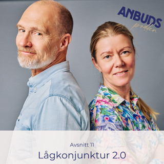 Avsnitt 11 | Så säljer du till offentlig sektor trots lågkonjunkturen