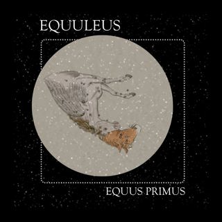 12 Equus Primus: The Constellation of Equuleus