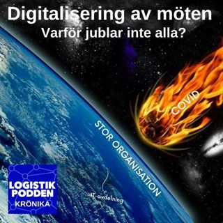Krönika 13 - Digitala möten