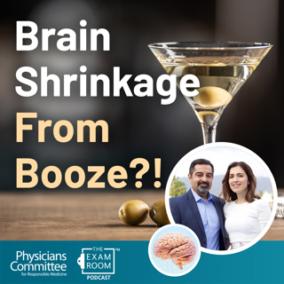 Alcohol Shrinks Your Brain. Seriously, It Does. | Drs. Dean and Ayesha Sherzai
