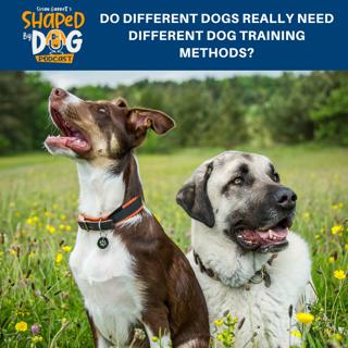 Do Different Dogs Really Need Different Dog Training Methods? #193