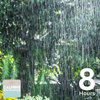 Drizzling Rain (8 Hours) | Sounds for Tranquility and Relaxation