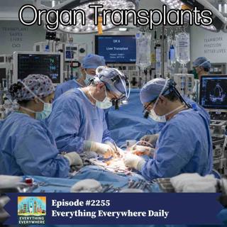 Organ Transplants