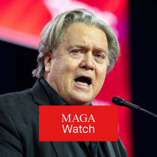 Hvem er Toje-vennen Steve Bannon?