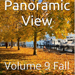 Panoramic View Volume 9 Fall by Daniel Lucas