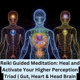 Reiki Guided Meditation: Heal and Activate Your Higher Perception Triad | Gut, Heart & Head Brain