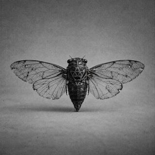 Cicada 3301 - Internets största mysterium