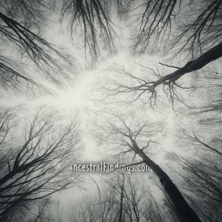 AF-978: The Connecticut Witch Trials: Witch Hysteria in America Long Before Salem