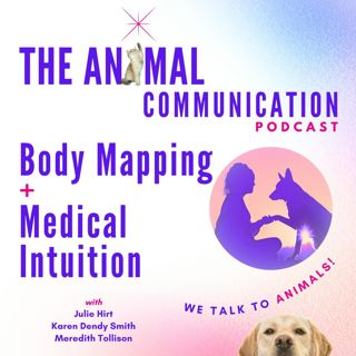 Body Mapping and Medical Intuition