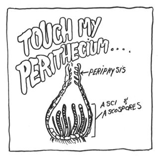 Rants About Peyote Conservation, Cryptogamic Crusts, Perithecium