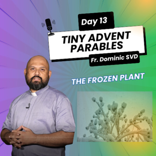 The Frozen Plant