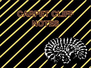 CARPET CLIFF NOTES- #4- THE HISTORY OF THE CITRUS TIGER LINE