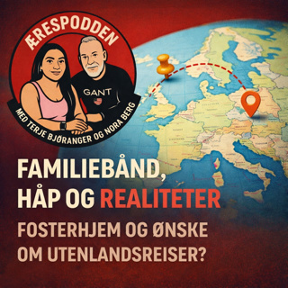 18. Mellom tilknytning og grenser – en sak om fosterhjem, familiekontakt og forventninger