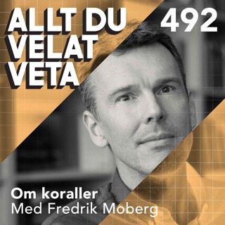 Allt du velat veta