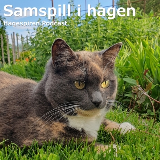 23/24: Samspill i hagen og en katts betraktninger med Hanne Kristin Rohde