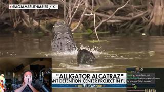 Alligator Alcatraz is real.. | Asmongold TV