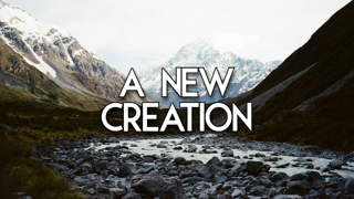 A New Creation