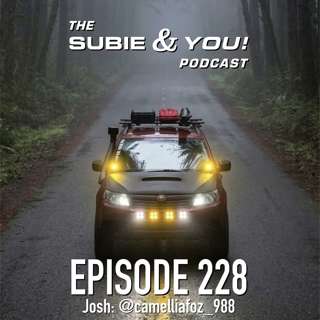 S&YE228 - Camellia Foz