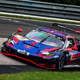 The World Is In Love with Max Verstappen