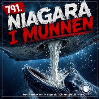 791. Niagrafall i munnen.
