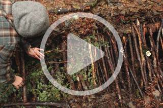 Audio Article: Build a Basic Survival Shelter
