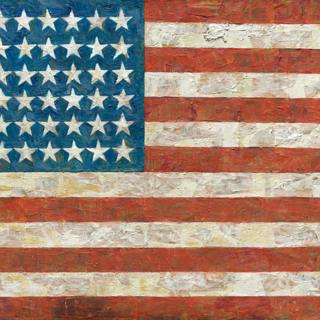 TLDR Jasper Johns | Flag