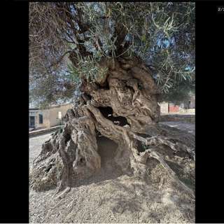 Friday, October 31, 2025 - 'Allo, AYOEDEBIRI!