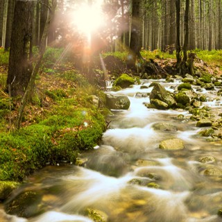 Mystic River ~ Deep Sleep & Relaxation Music with Calming Water Sounds