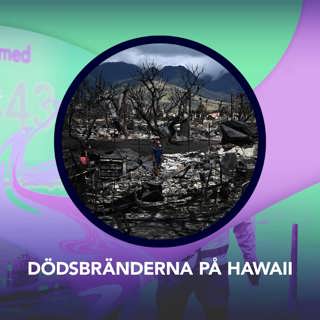 Dödsbränderna på Hawaii – P3 Nyheter Dokumentär