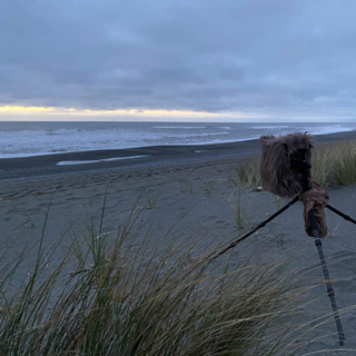 160: Gold Bluffs Beach- All Night On The High Tide Line