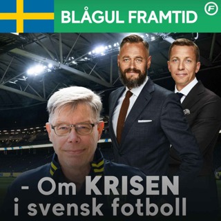 Blågul framtid 12 - Vad säger forskningen?
