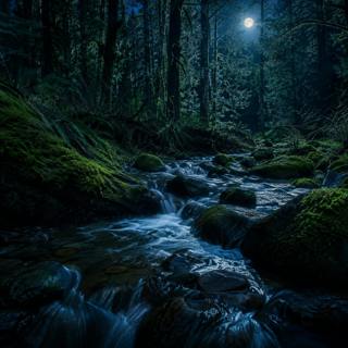 💦 CLEAR FOREST CREEK and GENTLE GURGLING over STONES — 2 H of flowing water for deep sleep
