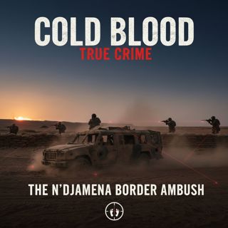 The N'Djamena Border Ambush