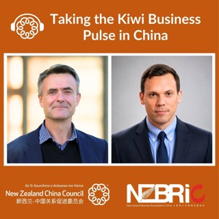 Taking the Kiwi Business Pulse in China
