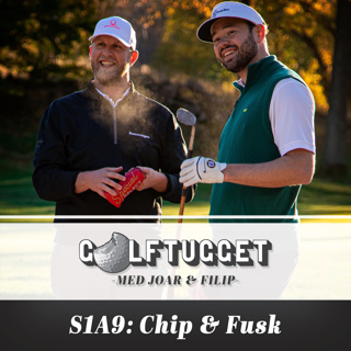S1A9 Chip & Fusk