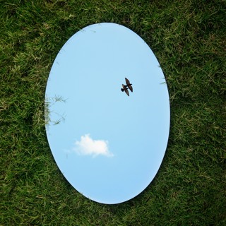 Self-Portraits