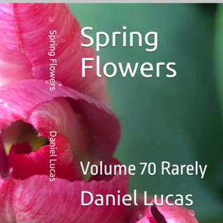 Spring Flowers Volume 70 Rarely by Daniel Lucas