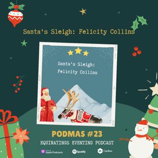 Santa's Sleigh: Felicity Collins