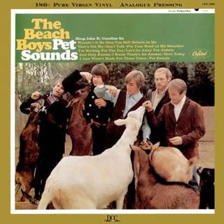 B-Side: Pet Sounds - Set Lusting Bruce