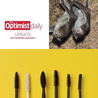 Bonding Vampire Bats & Wands for Wildlife