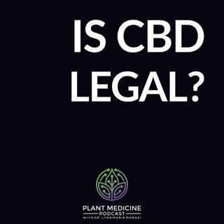 CBD History and Legality with Dr. Lynn Marie Morski