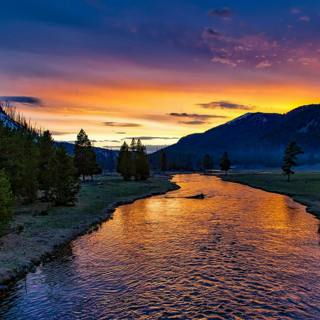 😴💧🎵 River Sounds and Soothing MUSIC for a Healthy and Restorative SLEEP