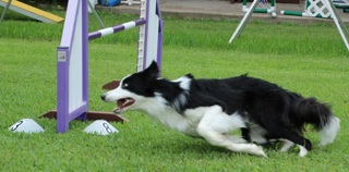 117: Drive for Agility (Three Aspects of Agility Training Part 2)