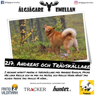 217. Andreas & Trädskällare