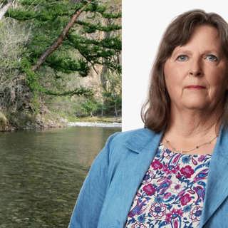 Det svenska guldet i Sibirien: Maria Persson Löfgren, Stockholm