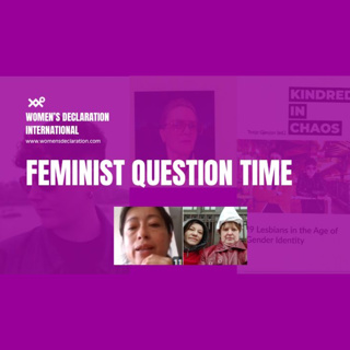 Kindred in Chaos - Lesbians in the Age of Gender Identity Launch + Feminist News from women #WDI
