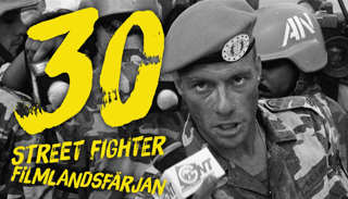 30 - Street Fighteravsnittet