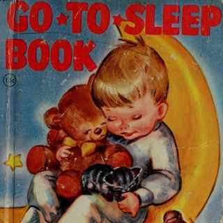 Go to Sleep Book
