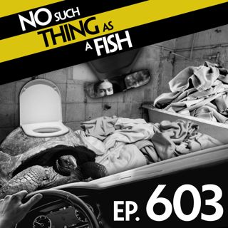 No Such Thing As Jack Can't Reacher